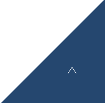 pagetop